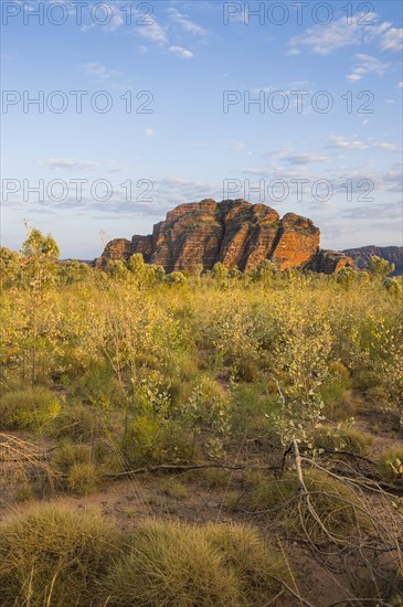 Bungle Bungles