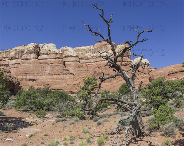 Rock formations