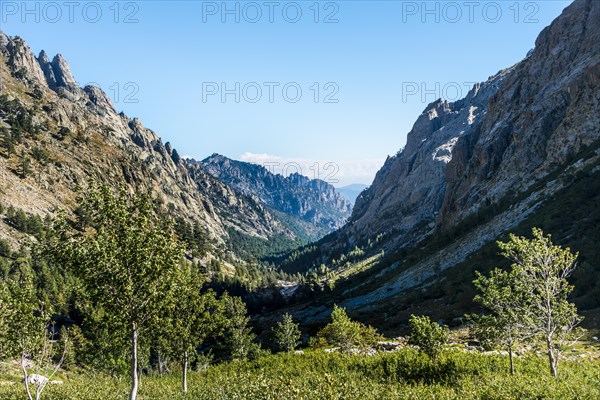 Restonica river flowing at its source through mountain valley