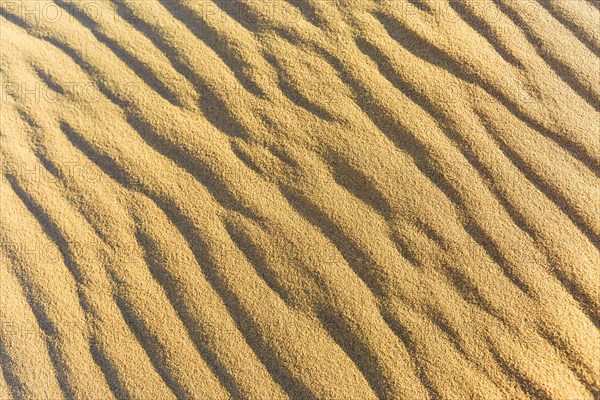 Wave pattern in the sand