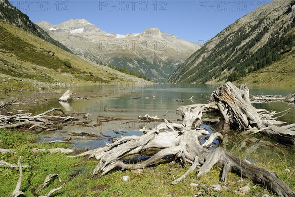 Driftwood at the Schlegeis reservoir