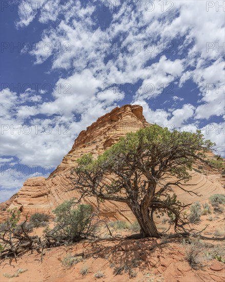 Rock formations of the Teepees