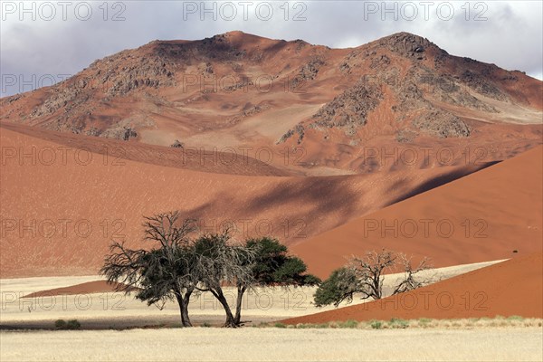 Sand dunes