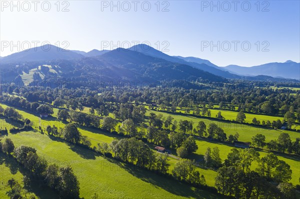 Natural monument hedgerow landscape near Gaissach