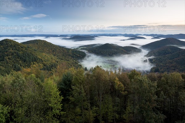 View of the Palatinate Forest from Wegelnburg Castle