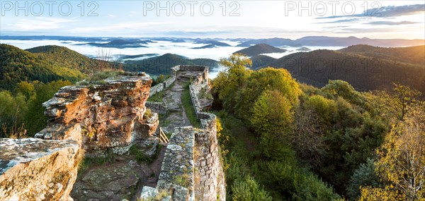 View of the Palatinate Forest from Wegelnburg Castle