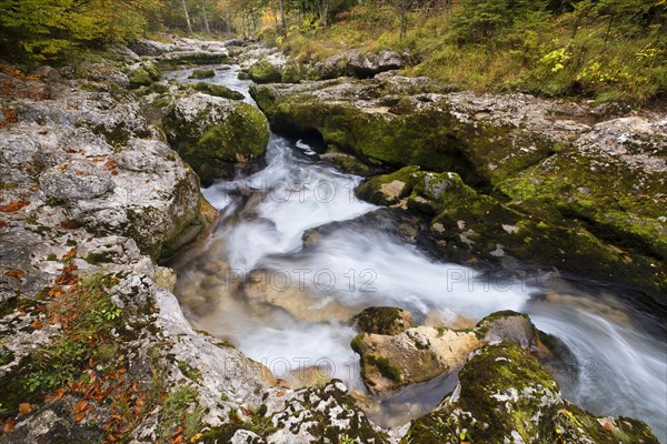 Mountain stream Mostnica in autumn