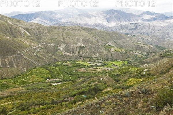 Agricultural landscape in the Chota Valley