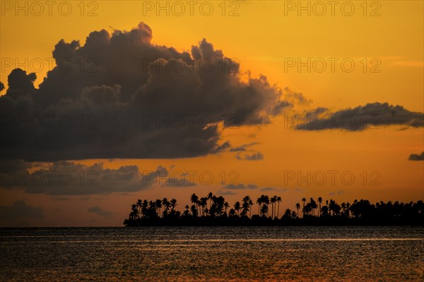 Sunset and an island with palm trees