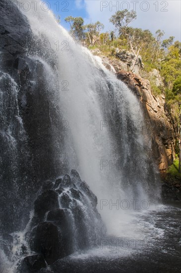 McKenzie Falls