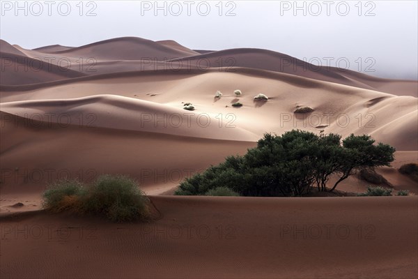 Sand dunes