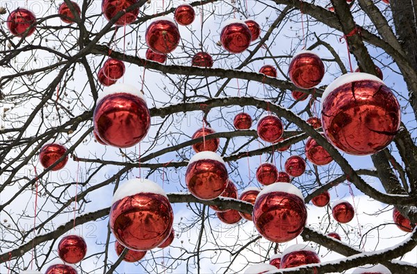 Christmas balls on a tree covered with snow