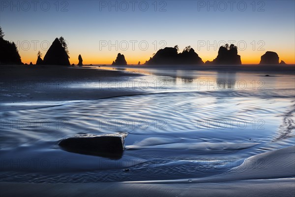 Shi Shi Beach in Olympic National Park