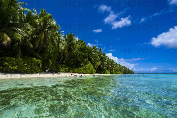 White sand beach and turquoise water in the Ant Atoll