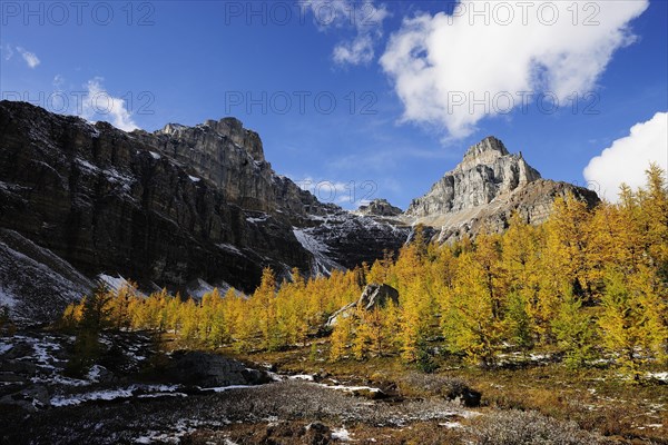 Hike from Moraine Lake to Larch Valley