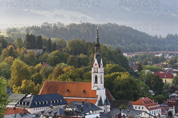 Parish Church of the Assumption