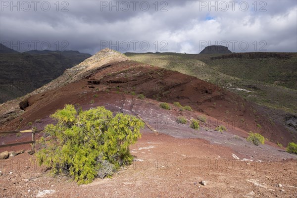 Sendero Quise