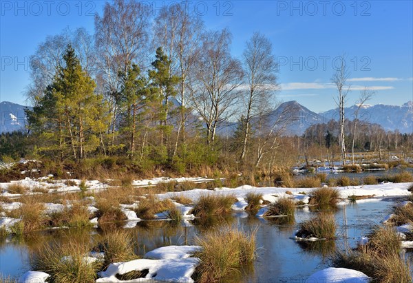 Moorlands in winter