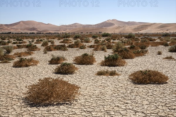 Sand dunes