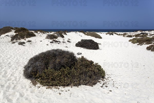 Bajo de los Sables in Orzola