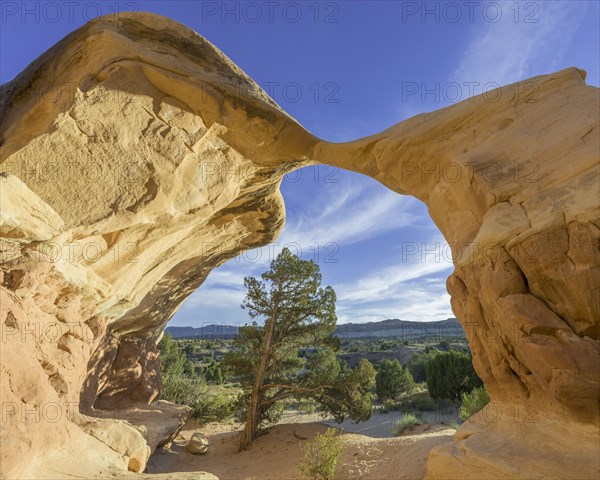 Rock formations in Devil's Garden