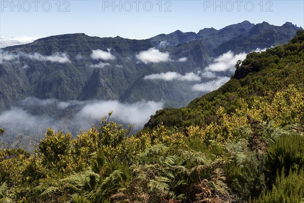 View of the mountains of the Parque Natural da Madeira