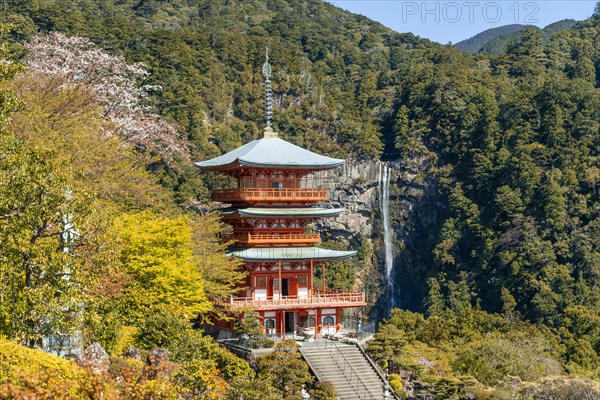 Nachi waterfall behind pagoda of Seigantoji Temple