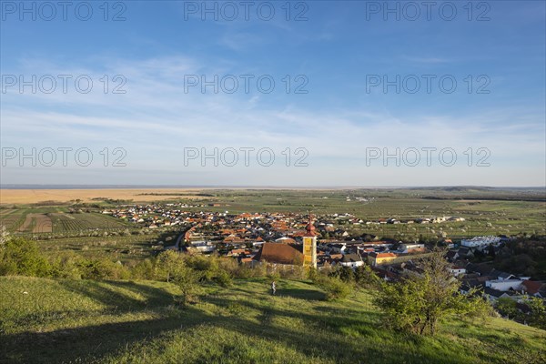 Town View with Mountain Church of St. Martin and Lake Neusiedl