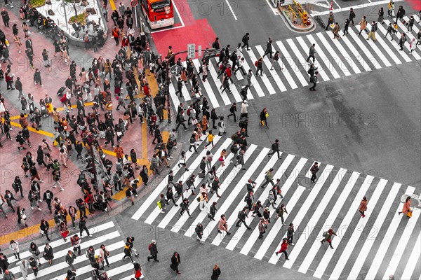 Shibuya crossing