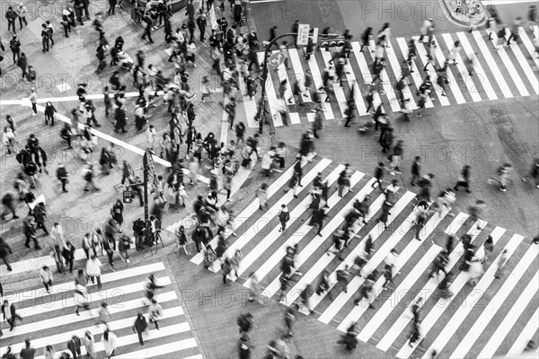 Shibuya crossing