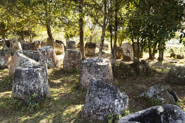 Plain of Jars