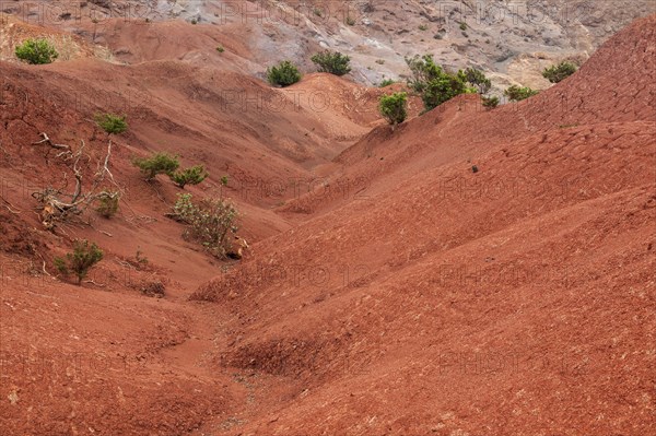 Red soil