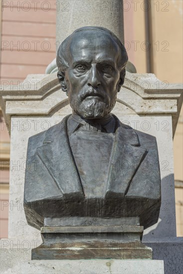 Bust