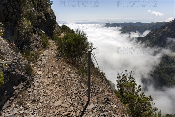 Trail from the Pousada do Arieiro to Pico Ruivo