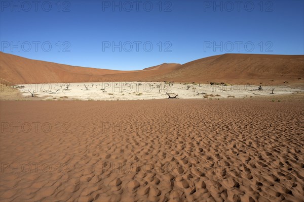 Sand dunes