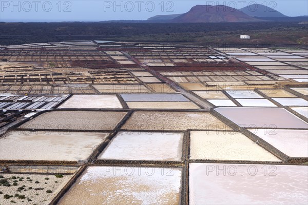 Sea salt production