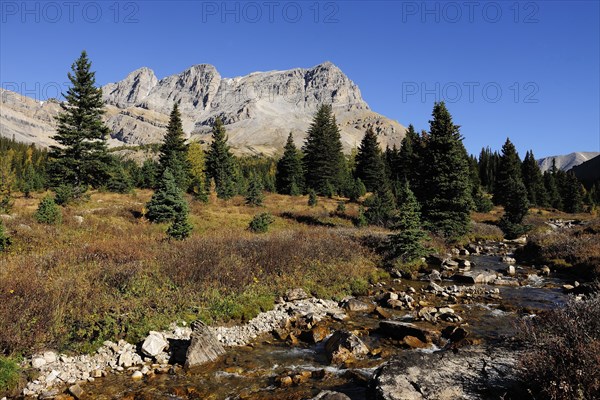 View on a hike from Lake Louise to Skoki Lodge in the Rocky Mountains