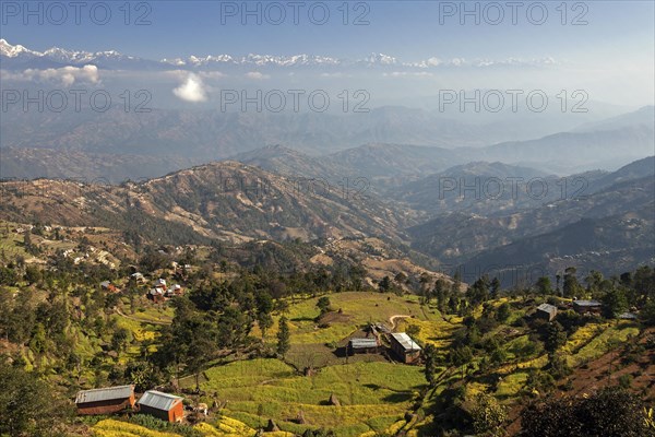 View of terraced fields and the mountains of the Himalayas