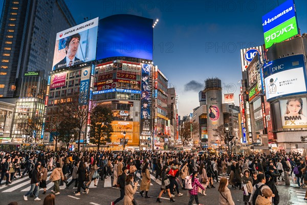 Shibuya Crossing