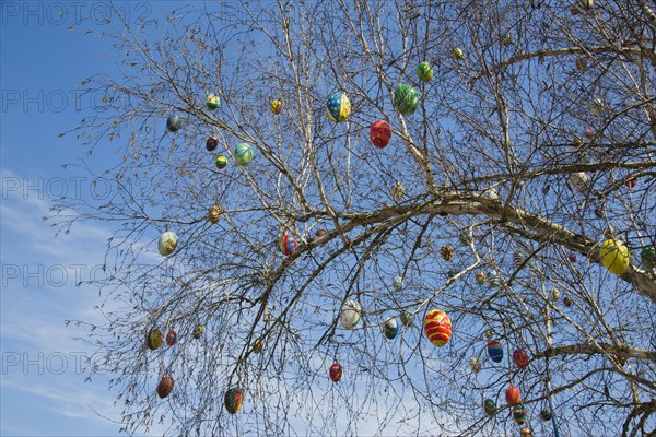 Hand-painted ostrich eggs hanging on a tree