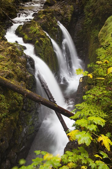 Sol Duc Falls in the Sol Duc River Valley