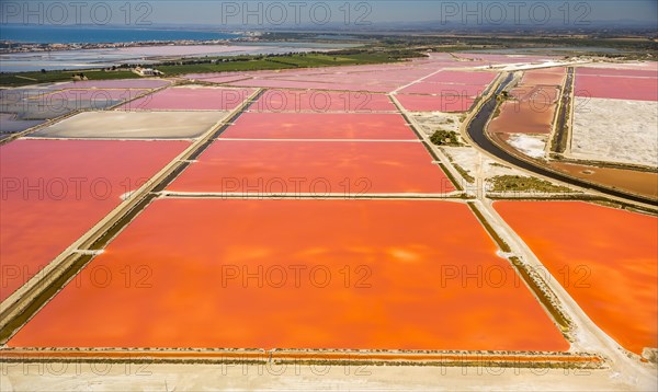 Salines