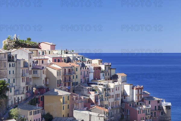 Manarola