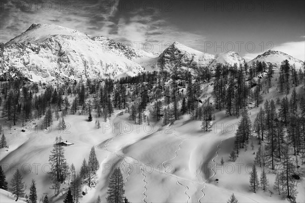Ski tracks below Mt Schneibstein