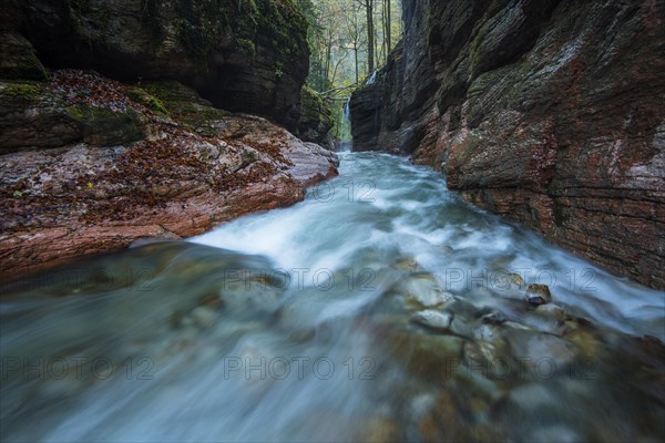 Tauglbach stream