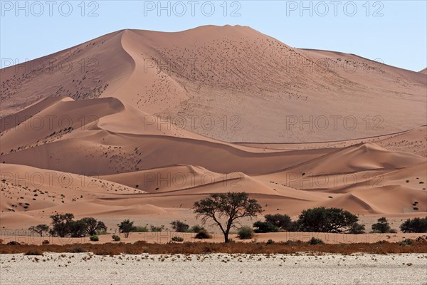 Sand dunes