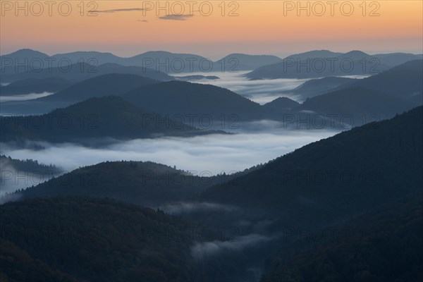 Palatinate Forest