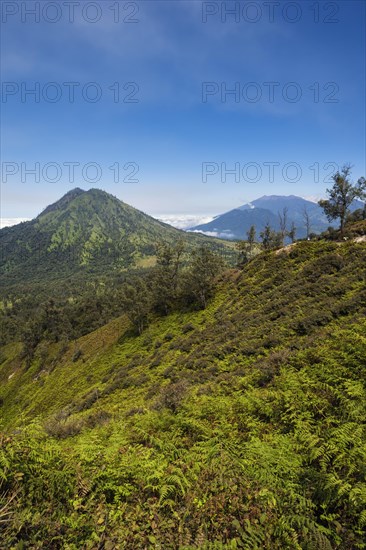 Kawah Ijen landscape