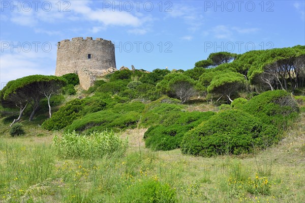 The watchtower Torre Spagnola