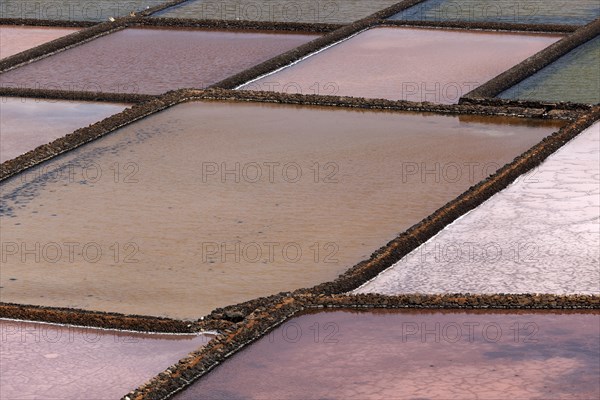 Sea salt production